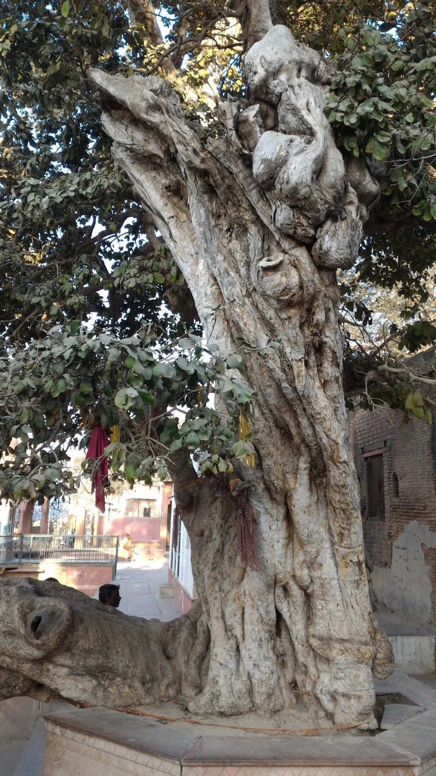 Home Yamuna Ghat (Kaliya Ghat), Vrindavan