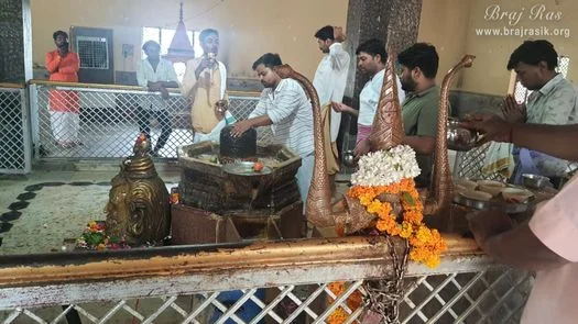 Home Chintaharan Mahadev, Gokul