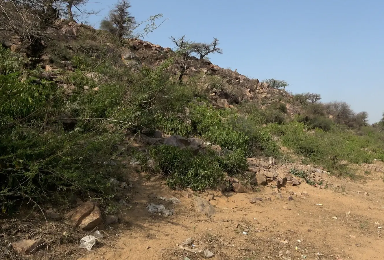 Home Govardhan Hill — destination photograph